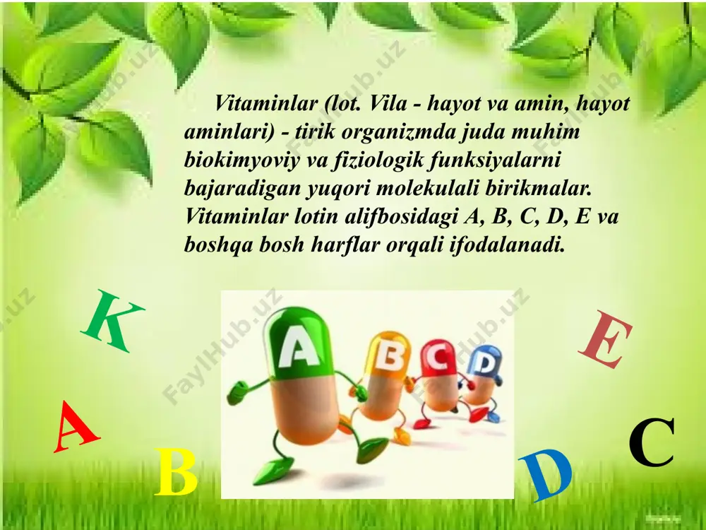 sochlari yaxshi o'smaydi, tishlarining shakllanishi buziladi. 0‘pka va ichakning jarohatlanishi kuzatiladi. odam har kuni 1 g ga yaqin a vitamini iste’mol qilishi lozim. b guruhi vitaminlari b1 b2 b1 b1 vitamini boshoqli va dukkakli ekinlar donida va tuxum sarig'ida, oz miqdorda ayrim sabzavot va mevalarda, ya’ni ismaloq, sabzi, karam, piyoz va olma mevasida bo'ladi. ovqatda b] vitamini yetishmaganida beri-beri kasalligi kelib chiqadi.bunda nerv sistemasi o’zgarishi natijasida nerv tolalari falajlanadi,terida sezuvchanlik oldiniga kuchayadi,so’ngra yo’qoladi,oyoq-qo’l muskullarining harakati kuchsizlanadi.odam oyog’ini yaxshi ko’tara olmaydi. b2 b12 b12 vitamini biologik o‘ta faol modda. metionin aminokislotasi, nuklein kislotalar sintezi, qon hosil bo‘lishida ishtirok etadi. bu vitamin tanqisligi, odatda, oshqozon-ichak kasalliklari ta’sirida umng ichak orqali so‘rilishining buzilishi natijasida kelib chiqadi. b12 vitamini, asosan hayvon mahsulotlari bilan organizmga tushadi, bakteriyalar ishtirokida odam ichagida ham oz miqdorda sintezlanadi. bu vitamindan tibbiyot, chorvachilik va parrandachilikda keng foydalaniladi. b12 vitamini yetishmasa kamqonlik paydo bo'ladi. d vitamin d vitamini. bu vitamin organizmda …