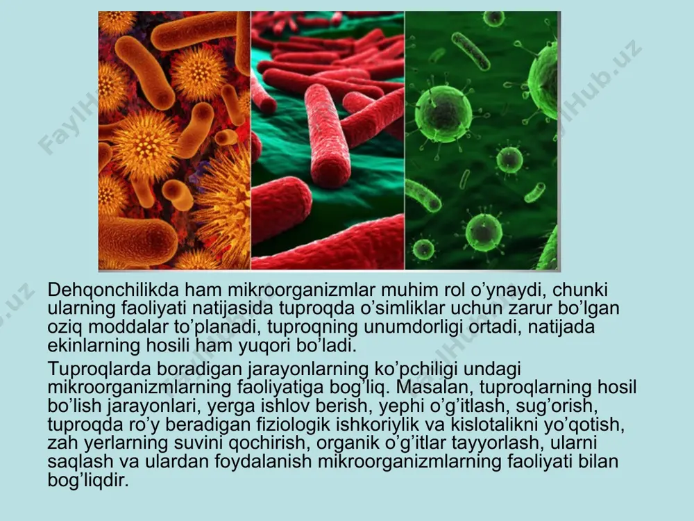 mikrobiologiya fani, uning predmeti, vazifasi va ahamiyati - Page 5