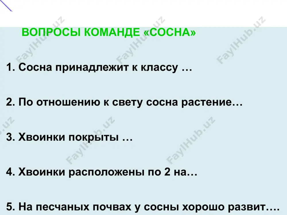 путешествие к новым берегам - Page 4