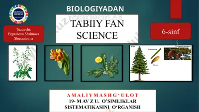 o'simliklar sistematikasini o'rganish — PPT