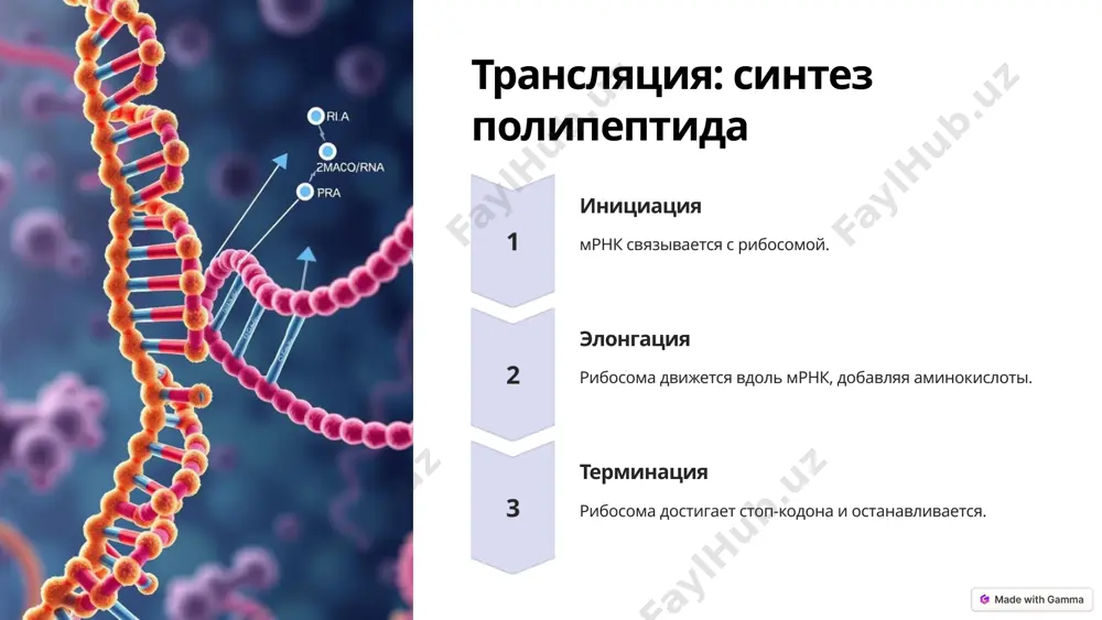 биосинтез белка: от гена к функции - Page 4