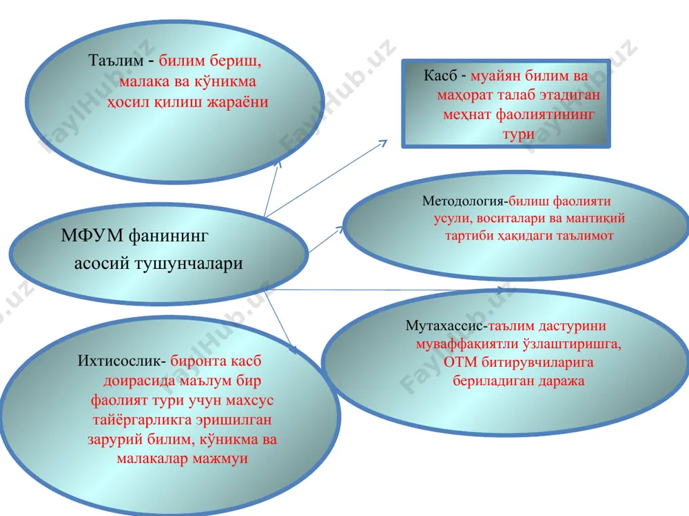 maqosus fanlarni ukitish metodikasi - Page 4