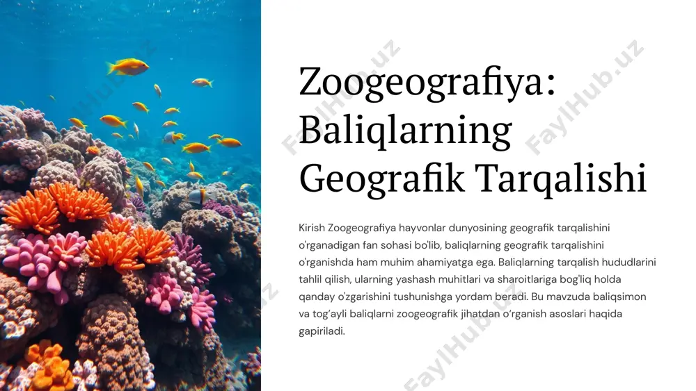 hga moslashgan bo'lib, ular o‘z tarqalish hududlari bo‘yicha o‘ziga xos zoogeografik xususiyatlarga ega. 6 baliqsimon baliqlarning tarqalishiga ta'sir qiluvchi omillar 1 geografik omillar baliqsimon baliqlarning tarqalishiga geografik omillar, suv harorati, tuzlilik darajasi va suvdagi oziq moddalar katta ta’sir ko‘rsatadi. 2 suv harorati masalan, iliq suv baliqlari issiq suv havzalarida keng tarqalgan bo‘lsa, sovuq suv baliqlari arktik va alp tog’ ko‘llarida ko‘p uchraydi. 3 tuzlilik darajasi bu omillar turli baliq turlarining tabiiy yashash muhitlarini belgilaydi. 7 tog’ayli baliqlarning tarqalishiga ta'sir qiluvchi omillar dengiz oqimlari tog’ayli baliqlarning tarqalishiga dengiz oqimlari, suvning chuqurligi, oziq-ovqat resurslari va boshqa ekologik sharoitlar ta'sir qiladi. suvning chuqurligi ushbu omillar ularga mos bo‘lgan geografik hududlarni tanlash imkonini beradi va ularning ko‘payishini ta’minlaydi. oziq-ovqat resurslari ko‘pincha, tog’ayli baliqlar toza dengiz oqimlariga yaqin joylarda yashashni ma'qul ko‘radi. 8 baliqlarning zoogeografik tarqalishi baliqlar dunyoning barcha dengiz, okean, daryo va ko‘llarida yashaydi. ularning zoogeografik tarqalishi ekologik sharoitlar va har xil iqlim zonalari …
