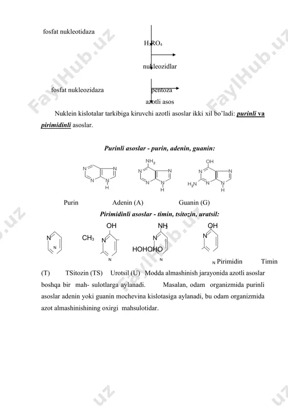 riktirib adenozindifosfat (adf) yoki adenozintrifosfat (atf) hosil qiladi. atfdagi yuqori energetik bog’ning gidrolizi hisobiga 30 kdj/mol energiya ajralib chiqadi. adf va atf dan tashqari yuqori energitik bog’larga ega bo’lgan boshqa birikmalar malum: argininfasfat, fosfoglitserin kislota, atsetilkoferment a va boshqalar. bu moddalar modda almashinishi uchun nihoyatda muhim bo’lib, nafas olish, bijg’ish va fotosintez to’plangan energiya sarflanadi. malum fermentlar tasirida fosforli va boshqa guruhli yuqori energetik bog’lar boshqa moddalarga o’tkazilishi mumkin. оksidlanish-qaytarilish reaktsiyalari fermentlari tarkibiga kiruvchi ayrim nukleotidlarda purinli yoki pirimidinli asoslar o’rnida vitaminlar bo’ladi (masalan, nikotin kislotasining amidi). shunday qilib murakkab nuklein kislotalarning ayrim tarkibiy qismlari ham malum fiziologik funktsiyalarni bajaradi. asosiy adabiyotlar 1. m. n. valixonov. biokimyo. toshkent: 2010. 2. e. o. oripov, a. o. nasrullayev. bioorganik kimyo. toshkent 2012 3. a. a. зияев, а. о. сoдиқoв. биooрганик кимё ўқув қўлланма тoшкент 2004. 4. тўрақулoв ё.х. умумий биoхимия. -тoшкент: ўзбекистoн, 1996.- 478 б. 5. қoсимoв. а, қўчқoрoв. қ. биoхимия. -тoшкент: …