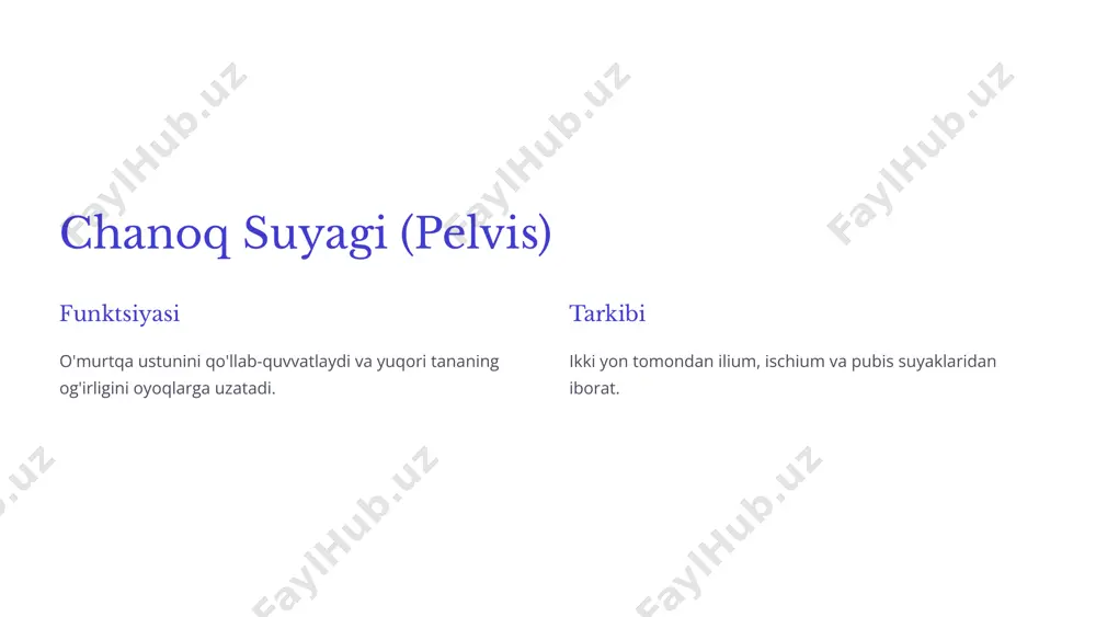 oyoq suyaklari va ularning funktsiyalari - Page 3