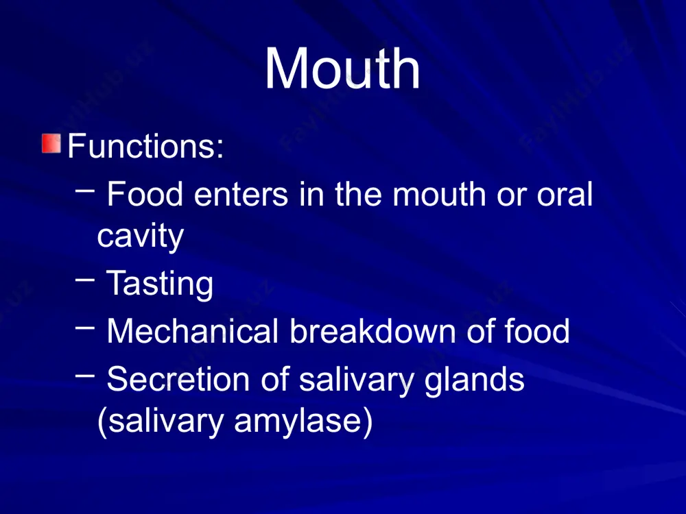 the alimentary tract - Page 5