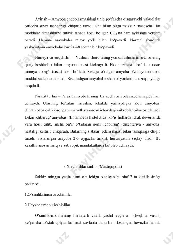 kasalliklarni tug‘diradi. masalan: triponasomalar – parazit xivchinlilarning eng xavflilaridan bо‘lib, ular turli umumrtqali hayvonlar, jumladan insonning qonida hayot kechiradi. triponasomaning tanasi chо‘ziq yassilashgan bо‘lib oldingi tomondan ayrilgan bitta xivchini orqaga yo’nalib yon tomonga yopishgan. shu joyda xivchin ektoplazmaga tutashib, tо‘lqinlanuvchi parda hosil qiladi. parazit mazkur parda vositasida harakat qiladi. murakkab tuzilgan bazal tanacha (kenitoplastlar) xivchinning endoplazmadagi qismida joylashgan. bir yadroli, bо‘linish yo’li bilan kо‘payadi. kattaligi 15-30 mk. masalan: uyqu kasali tripanosamasi afrikada ekvator atrofida va janubiy qismida xavfli kasallik uyqu kasalini keltirib chiqarishi aniqlangan. bu kasallikni se-se pashshasi tarqatadi. pashshada uyqu tripanosomasi ma’lum muddatni о‘taydi va uning sо‘lak bezlariga kelib joylashib oladi va chaqqanda hayvon yoki odamda о‘tishi mumkin. qonga tarqalib keyin orqa miyaga joylashib oladi. leyshmaniya (tropik) odamning yuzi va qо‘l oyog‘ining teri tо‘qimasida parazitlik qilib surunkali yara (yomon yara) hosil qiladi. bu kasallik hozir ham uchraydi. 5.infuzoriyalar (infusorta) sinfi bu kiprikli hayvonlarning hozirgi vaqtda 6 mingdan ortiq turi …