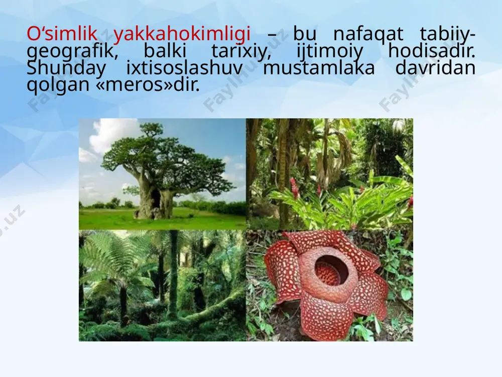 afrika mamlakatlari xo‘jaligi, iqtisodiy rayonlari . 9 - sinf - Page 5