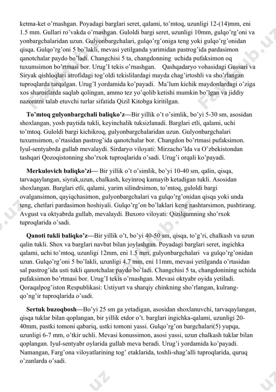 ulqo’rg’on bo’laklari nashtarsimon, tuksiz, mevasi yetilishi bilan yarmidan pastida qanotchalar paydo bo’ladi. changdonning uzunligi 1.5 mm, yarmigacha bo’lingan, uchidagi bo’rtmasi pufaksimon. urug’chisi gulqo’rg’onidan uzun. iyun-sentayabr oylarida gullab, mevasi yetiladi. sirdaryo vohasi(mirzacho’l)da sho’rxok tuproqlarda o’sadi. ma’lum kichik maydonlardagi o’ziga xos sharoitlarda saqlab qolingan, ammo tez yo’qolib ketishi mumkin bo’lgan va jiddiy nazoratni talab etuvchi kamyob tur sifatida o’zbekiston qizil kitobiga kiritilgan. pyatayeva baliqko’zi— bir yillik o’t o’simlik, bo’yi 10-15 sm, qalin, uzun, chalkash va siyrak, qisqa, deyarli to’g’ri tukli. 3-7 juft shoxlari va barglari qarama-qarshi, qolganlari ketma-ket o’rnashgan. poyadagi barglari seret, qalami, to’mtoq, uzunligi 12-(14)mm, eni 1.5 mm. gullari ro’vakda o’rnashgan. guloldi bargi seret, uzunligi 10mm, gulqo’rg’oni va yonbargchalaridan uzun. gulyonbargchalari, gulqo’rg’oniga teng yoki gulqo’rg’onidan qisqa. gulqo’rg’oni 5 bo’lakli, mevasi yetilganda yarimidan pastrog’ida pardasimon qanotchalar paydo bo’ladi. changchisi 5 ta, changdonning uchida pufaksimon oq tuxumsimon bo’rtmasi bor. urug’i tekis o’rnashgan. qashqadaryo vohasidagi gussari va siryak qishloqlari atrofidagi tog’oldi tekislilardagi mayda chag’irtoshli …
