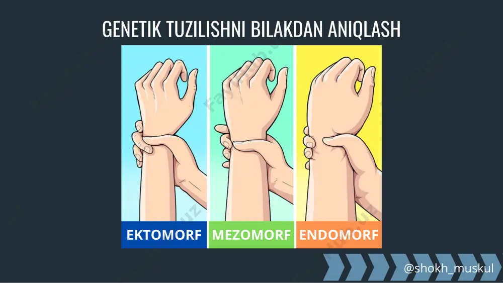 meyskiy jim, ko‘tarishlar, plank, bukilishlar) shanba — yengil aylana mashqlar yoki pamplovka yakshanba — dam olish muhimi — periodizatsiya. mezomorflar uchun eng yaxshi natijalar almashib boruvchi fazalarda erishiladi: kuch fazasi → pamplovka fazasi → funksional faza belgilar: toʻladan kelgan tana tuzilishi past boʻy katta mushak massasi yogʻ foizi yuqori qisqa va zich qoʻl-oyoqlar metabolizm sekin ishlaydi kamchiliklari: ortiqcha yogʻni yoʻqotish qiyin afzalliklari: kuch koʻrsatkichlari yuqori endomorf @shokh_muskul endomorf @shokh_muskul mashg'ulot tamoyillari (endomorf — kuch yo'nalishi) takrorlar soni: 8–12 yondashuvlar: 4–5 dam olish: 45–60 soniya sur’at: kuchli, faol tezlik: haftasiga 4 ta kuch mashg'uloti va 2 ta kardio-sessiya e'tibor: bazaviy harakatlar, pamplovka, glikogen sarfi kardio: majburiy — intervalli va o‘rtacha intensivlikda mashg'ulot dasturi (namuna) dushanba — bazaviy mashqlar (jim, prised, tortish) seshanba — kardio 30–40 daqiqa, puls zonasi 130– 140 chorshanba — ko‘krak, yelka, triseps (jimlar, ko‘tarishlar, cho‘zilishlar) payshanba — bel, biseps, trapetsiya juma — oyoq + press shanba — kardio, …