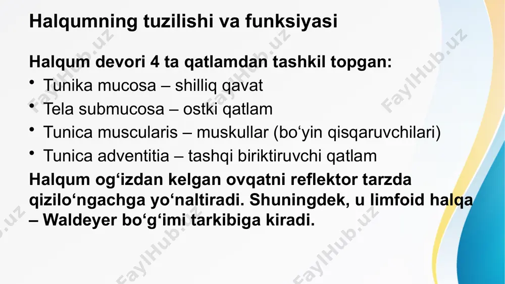halqum, qizilonchak va medaning umumiy anatomiyasi - Page 5