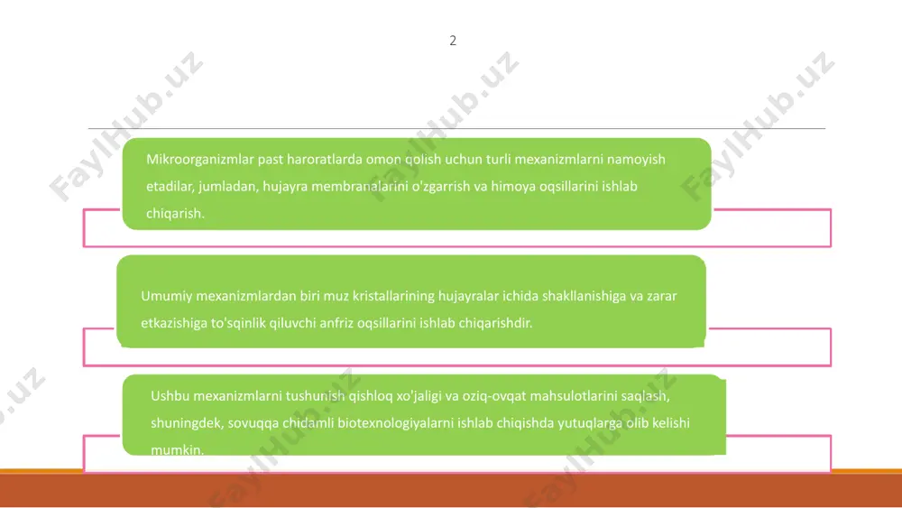 i oziq-ovqat mahsulotlarini saqlash, qishloq xo'jaligi va farmatsevtika kabi turli sohalarda hal qiluvchi ahamiyatga ega. ushbu mexanizmlarni tushunish mikroblarning o'sishini nazorat qilish uchun samarali strategiyalarni ishlab chiqishga yordam beradi. past haroratning mikroorganizmlarga ta'sir qilish mexanizmini o'rganish orqali olimlar bu organizmlarning ekstremal sharoitlarda qanday moslashishi va yashashi haqida yangi tushunchalarni ochishi mumkin. ushbu bilim biotexnologiya va sog'liqni saqlash sohasida innovatsion yondashuvlarga yo'l ochishi mumkin. 1 2 3 7 mikroorganizmlar sovuq sharoitda omon qolish uchun turli xil moslashuvlarni namoyish etadilar. mexanizmlardan biri ularning hujayra tuzilmalarini muzlashdan zararlanishdan himoya qiluvchi maxsus oqsillarni ishlab chiqarishdir. past haroratlar mikroorganizmlarning metabolizmini va o'sishini sekinlashtirishi mumkin, bu ularning uyqu holatiga kirishiga imkon beradi. bu uyquchanlik mikroorganizmlarga energiyani tejashga va og'ir ekologik sharoitlarda omon qolishga yordam beradi. mikroorganizmlarning sovuqqa chidamliligining asosiy mexanizmlarini tushunish oziq-ovqat mahsulotlarini saqlash va biotexnologiya kabi sohalarda amaliy qo'llanilishi mumkin. ushbu mexanizmlarni manipulyatsiya qilish mahsulotlarning saqlash muddatini yaxshilashga va sanoat jarayonlarini yaxshilashga yordam beradi. 8 …