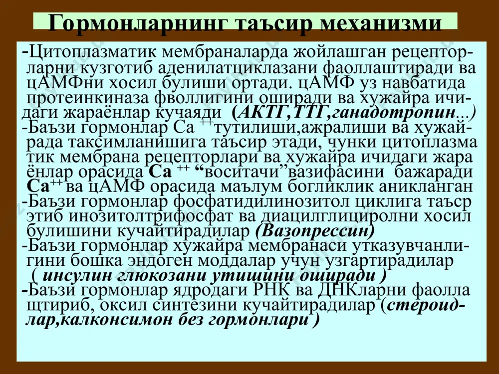 ой да- вом этади. гипотериоидизмни даволашда кул- ланилади. дозаси ошириб юборилса базедов хасталигининг белгилари ривожланади (тахи- кардия, тремор, асосий модда олмошинувини ортиб кетиши. антитиреоид воситалар - гипофизнинг олди булагидан тиреотроп гор- мон ажралишини сусайтирувчи воситалар - йод, дийодтирозин -тиреоид гормонлар синтезини сусайтирувчи воситалар - мерказолил -калконсимон безнинг йодни ютилишини бу- зувчи воситалар - калий перхлорат -калконсимон без фолликулаларини емирувчи воситалар - радиоактив йод - j 131 кальцитонин калконсимон безнинг махсус хужайралари ажра тади. полипептид. синтетик олинган. суякда де кальцификацияни сусайтириб кондаги са++ мик- дорини камайтиради. са++ни митдан сурилиши ва буйракда уни кайти сурилишига таъсир этмай ди.кальцитрин чучка калкансимон безидан олинади.таркибида кальцитонин бор препарат. кулланилиши: остеопороз, глюкокортикоидлар- ни давомли куллаганда, нефрокальцинозда (буй рак найчаларида са ва р ни тупланиб колиши) антидиабетик воситалар -урин босиш терапияси воситалари инсулин препаратлари -эндоген инсулин ажралишини кучайтирувчи воситалар сульфонилмочевина хосилалари -тукималарга гшлюкозани кириши ва гликолиз ни кучайтириш воситалари бигуанидлар -глюкозани ингичка ичакдан сурилишини су- сайтириш воситалари …