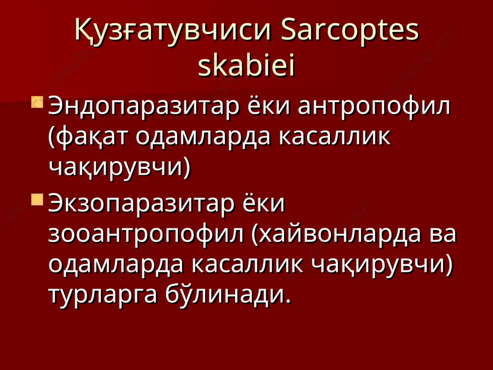 ига бир томчи томизиб 5 мин.дан кейин қиринди олиб микроскоп остида кўриш қўтир давоси 20% бензилбензоатнинг сувли-совунли эритмаси билан баданни артиш 60% ли гипосульфат натрий билан баданни артиш 6% ли солянний кислота билан артиш 33% ли олтингугурт малхами вилькинсон малхами полисульфид линимент “к” совунинг 5%ли эмулсияси билан баданни артиш битлаш (педикулёз) экзопаразитлар чақиши натижасида дерматит келтириб чиқаради. турлари қов сохаси бит касаллиги баданнинг бит касаллиги бош бит касаллиги бош бити қов бити фтириаз: тугунчали тошмалар фтириаз кийим бити келтириб чиқарган теридаги ўзгаришлар одамлар учун битларнинг вирусларни, риккетсияларни ва бактерияларни ташиб юрувчанлиги ва ўтказувчанлиги хавфли хисобланади. битланинг сўлагида хам каналарникидай токсинлар мавжуд бўлиб, қичимага ва дерматитга сабабчи бўлади. битлашни давоси керосинни ўсимлик мойи билан аралаштириб сочларни хўллаб қўйиш. уксусга намлатилган кичик тишли тароқ билан тараб туриш. 10% ли бензилбензоат билан ювиш. паразитар касалликларни таққослаш ташхисоти бурга чаққандан кейинги тугунчали тошмалар: тунгиоз битлар чақишидан кейинги ўзгаришлар шистосомоз эътиборингиз учун рахмат!