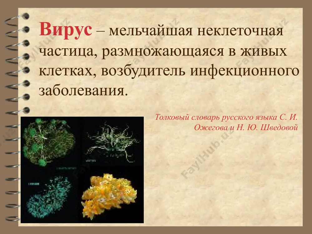 тям вирусы можно разделить на: безвредные, т.е. никак не влияющие на работу компьютера (кроме уменьшения свободной памяти на диске в результате своего распространения); неопасные, влияние которых ограничивается уменьшением свободной памяти на диске и графическими, звуковыми и пр. эффектами; опасные вирусы, которые могут привести к серьезным сбоям в работе компьютера; очень опасные, в алгоритмах работы которых заведомо заложены процедуры, которые могут привести к потере программ, уничтожить данные, стереть необходимую для работы компьютера информацию, записанную в системных областях памяти, и даже, как гласит одна из непроверенных компьютерных легенд, способствовать быстрому износу движущихся частей механизмов - вводить в резонанс и разрушать головки некоторых типов винчестеров. пути проникновения вирусов глобальная сеть internet электронная почта локальная сеть компьютеры «общего назначения» пиратское программное обеспечение ремонтные службы съемные накопители методы защиты антивирусные программы критерии выбора антивирусных программ надежность и удобство в работе качество обнаружения вирусов существование версий под все популярные платформы скорость работы наличие дополнительных функций и …