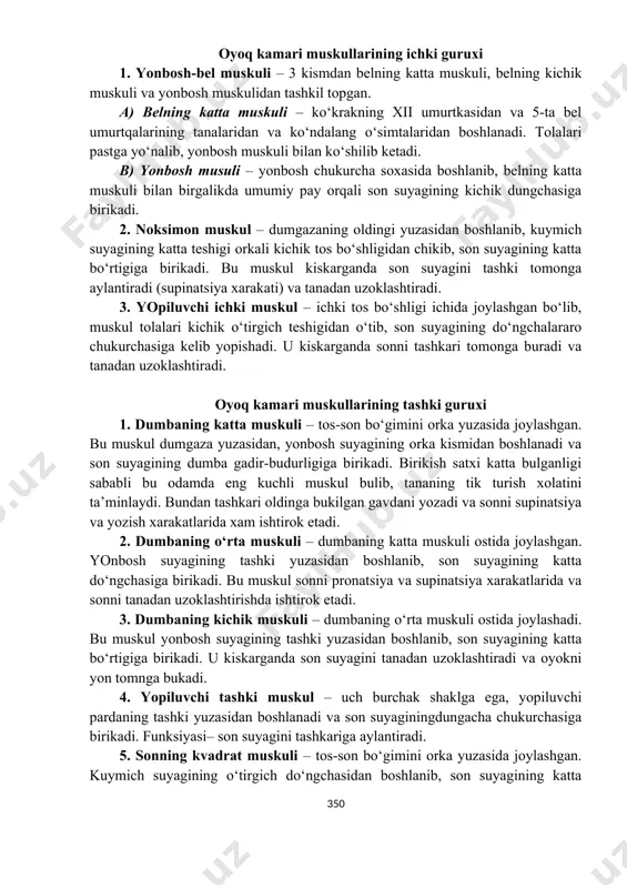 uskuli, noksimon muskul, yopiluvchi ichki muskullar kiradi. tashqi gurux muskullariga dumbaning katta, urta va kichik muskullari, yoriluvchi tashqi muskuli, sonning keng fassiyasini tortuvchi muskul va sonning kvadrat muskuli kiradi. oyoq kamari muskullarining ichki guruxi 1. yonbosh-bel muskuli – 3 kismdan belning katta muskuli, belning kichik muskuli va yonbosh muskulidan tashkil topgan. a) belning katta muskuli – ko‘krakning xii umurtkasidan va 5-ta bel umurtqalarining tanalaridan va ko‘ndalang o‘simtalaridan boshlanadi. tolalari pastga yo‘nalib, yonbosh muskuli bilan ko‘shilib ketadi. b) yonbosh musuli – yonbosh chukurcha soxasida boshlanib, belning katta muskuli bilan birgalikda umumiy pay orqali son suyagining kichik dungchasiga birikadi. 2. noksimon muskul – dumgazaning oldingi yuzasidan boshlanib, kuymich suyagining katta teshigi orkali kichik tos bo‘shligidan chikib, son suyagining katta bo‘rtigiga birikadi. bu muskul kiskarganda son suyagini tashki tomonga aylantiradi (supinatsiya xarakati) va tanadan uzoklashtiradi. 3. yopiluvchi ichki muskul – ichki tos bo‘shligi ichida joylashgan bo‘lib, muskul tolalari kichik o‘tirgich teshigidan o‘tib, son …
