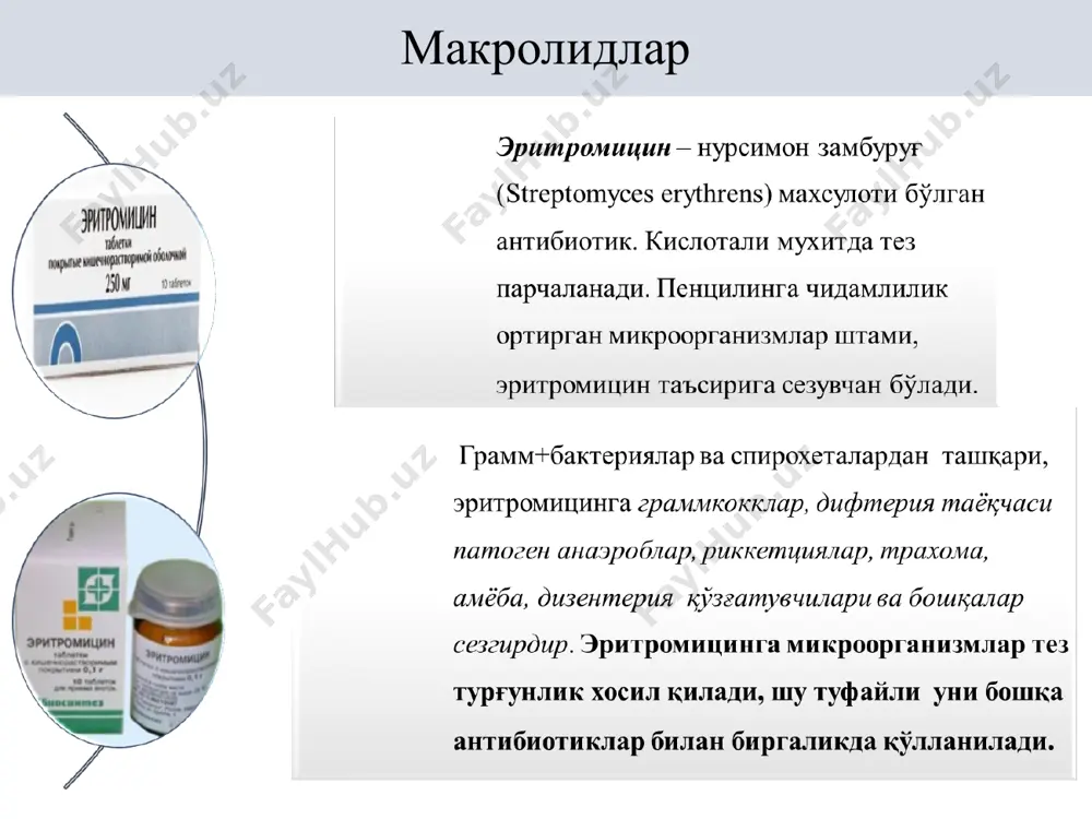 , кандидомикоз-аллергик реакциялар-токсик миокардит-психомотор ўзгаришлар. аминогликозидлар бу гурух антибиотиклар бактериоцид таъсир кўрсатади. таъсир механизми рибосомаларга таъсир этиб, оқсил синтезини бузилиши билан боғлиқ. бундан ташқари микроблар организмда пироузум кислотасининг оксидланиши бузилиши хисобига энергия билан таъминланиши кескин сусаяди. стрептомицин-антимикроб таъсир спектри кенг: грамм манфий бактерияларга таъсир этади. бактериостатик таъсири стрептоккоклар, страфилоккоклар, пеневмаккоклар, гоноккоклар, ўлат (чума), куйдирги, дифтерия, туляремия, ичбуруғ, бруцеллез ва сил хасталикларининг қўзғатувчиларига ичак таёқчаси, протей, кўк йиринг таёқчаси, бруцеллезларга қаратилган. лекин стрептомицин анаэроблар, спирохеталар, риккетсиялар, вируслар, патоген моғорлар, содда хайвонларга таъсир этмайди. * ножўя таъсирлари ототоксик таъсир (лабиринт, эшитиш аппарати); нерв - мушак синапсини сусайтиради ва нафас олишни бузади; махаллий таъсири кучли (оғриқ); аллергик реакциялар ( зозинофилия, дерматитлар). неомицин-сульфат-неомицин а,в ва сларнинг аралашмаси. кенг спектрига эга. грамм мусбат ва грамм манфий микроорганизимларга таъсир этади. микроорганизимларнинг неомицинга чидамлилиги секин ривожланади. митдан ёмон сўрилади, шу сабабли энтеритларда ва ичакнинг операциясига таёрлашда қўлланилади (ичакни қисман стериллашда). неомицин ичак таёқчаси, протейнинг баъзи штамлари ва …