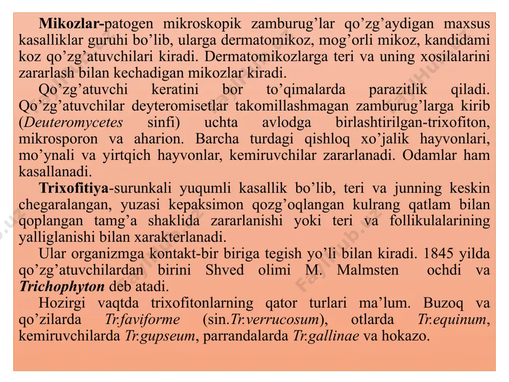 ham, patmaterialda ham 30 minutda o’ldiradi. 80-900s qizdirilgan suvda 7-10 minut, qaynatish 7-10 minut, quruq issiqlik (60-620s) 2 soatda o’ldiradi. 5-8 % li ishqor eritmalari 20-30 minutda, 2-3 % li fenol 20-30 minutda, 2% li formalin 2-3 minutda o’ldiradi. patogenligi. trixofiton avlodi zamburug’lari tabiiy va sun’iy sharoitlarda qoramollar, ot, qo’y, cho’chqa, eshak, tuya, mushuk, dengiz cho’chqalari, quyon, oq sichqon, kalamush, it, muynali va yovvoyi hayvonlar uchun patogenlidir. ko’proq qoramol va otlar, kamroq it va mushuklar moyildir. kasallik o’ta yuqumli, asosan yosh hayvonlar zaralanadi. patogenezi. hayvonlar dermatomikozlari patogenezi asosida zamburug’larning organizmda teri va uning hosilalarini zararlab, parazitlik qilishi yotadi. bunda makroorganizmning ham roli katta. organizmda qulay sharoitlar yaratilganda zamburug’lar soch follikulalariga kirib rivojlanadi va ko’payadi. kirgan va rivojlangan joyida yalliglanish paydo bo’ladi. soch ildizi qinining hujayralari shishishi natijasida soch noziklashib follikuladan chiqayotgan joyidan sinadi. zararlangan o’choqlardan zamburug’ elementlari kengaygan qon tomirlar orqali qon va limfaga o’tib, qon oqimi va limfa tomirlari …