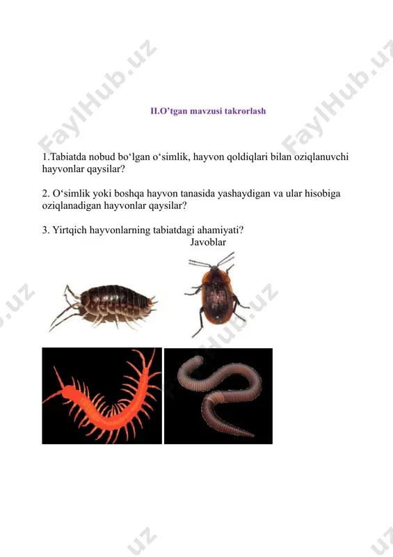 odamning ovqat hazm qilish sistemasi dars ishlanmasi - Page 5