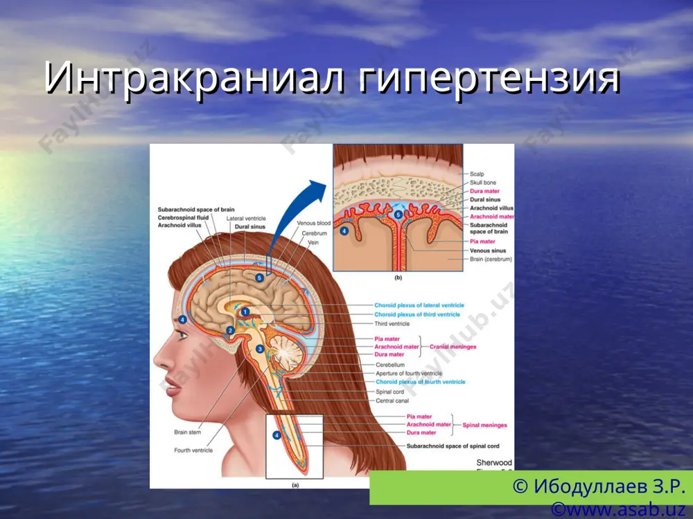 psixosomatik tibbiyot: psevdonevrologik sindromlar - Page 4