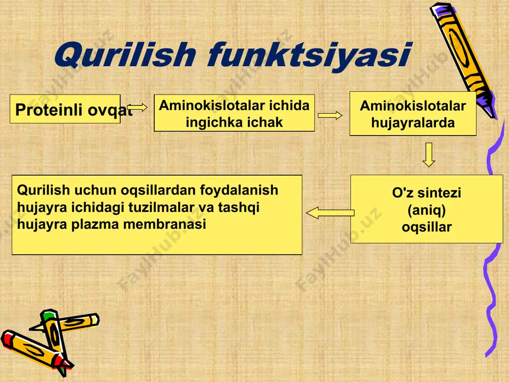 funksiyalar - Page 3