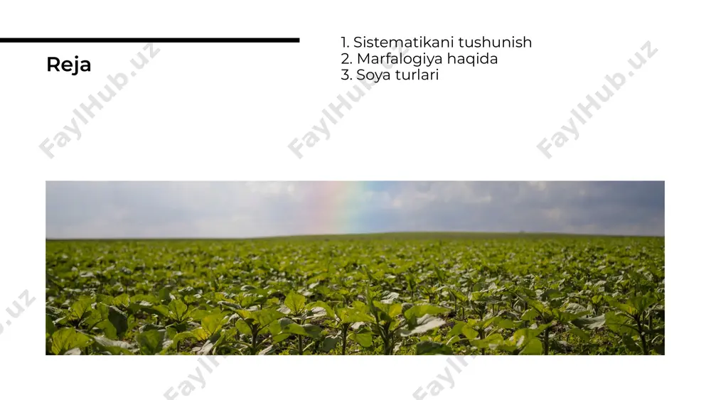 oshqarish va suvni tejashda yordam beradi. soya o'simliklarining evolyutsiyasi ularning moslashuvchanligini va turlashuvini ko'rsatadi. evolyutsiya jarayoni davomida o'simliklar yangi sharoitlarga moslashish imkoniyatini oshiradi. o'simliklarning evolyutsiyasi soya sistematikasi va marfalogiyasi bo'yicha olib borilgan tadqiqotlar natijalari ko'plab yangi bilimlar va tushunchalar keltirib chiqardi. bu bilimlar qishloq xo'jaligida samarali foydalanishga yordam beradi. tadqiqotlar va natijalar soya o'simliklari bo'yicha kelajakdagi istiqbollar yangi tadqiqotlar, genetik o'zgarishlar va agrotexnik yondashuvlarni o'z ichiga oladi. ular qishloq xo'jaligida barqarorlikni ta'minlashga yordam beradi. kelajak istiqbollari soya sistematikasi va marfalogiyasi o'simliklar tashkiliy tuzilishi va evolyutsiyasi haqida chuqur tushuncha beradi. ushbu taqdimotda ko'rib chiqilgan tamoyillar va tahlillar kelajakdagi tadqiqotlarga asos bo'ladi. xulosa