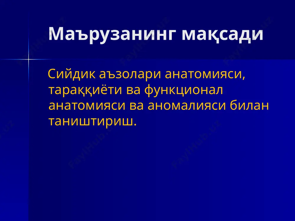 siydik chiqaruv a'zolarining anatomiyasi - Page 3