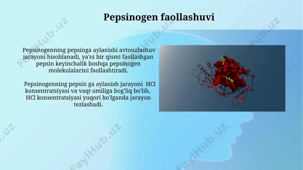 ti uchun optimal ph 1.5-2.0 oralig'ida bo'lib, ph ning 7 ga ko'tarilishi uning fermentativ aktivligini deyarli butunlay yo'qotadi. ba'zi ferment inhibitörlari raqobatbardosh bo'lib, fermentning faol markaziga substrat bilan raqobatlashadi, shu bilan ferment-substrat kompleksini hosil bo'lishini 2-3 baravar sekinlashtiradi. pepsin fermenti pepsin fermentining optimal faoliyati ph 1,5-2,5 oralig'ida kuzatiladi, bu oshqozonning yuqori kislotalilik muhitiga mos keladi va oqsillarni parchalashda yuqori samaradorlikni ta'minlaydi. oshqozon kislotaligining pasayishi (masalan, ph 5 dan yuqori) pepsin fermentining faolligini sezilarli darajada kamaytiradi, natijada oqsil hazm qilish jarayoni sekinlashadi va ovqat hazm qilish buzilishlariga olib kelishi mumkin. e'tiboringiz uchun rahmat @taqdimot_robot image2.jpg image3.jpg image4.jpg image5.jpg image6.jpg image7.jpg image8.jpg image9.jpg image10.jpg image11.jpg image12.jpg image13.jpg image14.jpg image15.jpg image16.jpg image17.jpg image18.jpg image1.png
