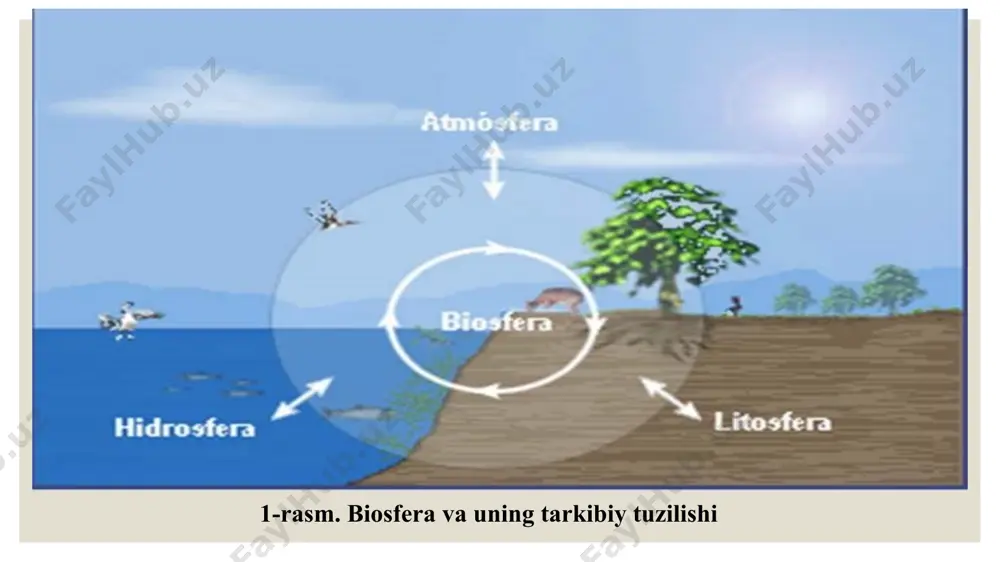 hi bilan chambarchas bog‘liq. moddalar kichik (biologik) va katta doiralarda (geologik) aylanadi. tirik organizmlar asosan to‘rtta muhitda: suv, havo, tuproq, organizm (muhit sifatida)larda yashashga moslash-gan. suv va havo o‘lik, tuproq oraliq, organizm tirik muhitlardir. muhitning tirik organizmlarga to‘g‘ridan to‘g‘ri ta’sir etuvchi tarkibiy qismlari ekologik omillar deb ataladi. hozirda ushbu omillarning kelib chiqish vaqti bo‘yicha muhitga, xarakteriga, ta’sir etish xususiyatlariga qarab abiotik (o‘lik tabiatning ta’siri), biotik (tirik organizmlar bilan bog‘liq ta’sir) va antropogen (inson faoliyati natijasida ta’sir) omillarga bo‘linadi (n.n.ponomaryova, 1975y). 1. abiotik omillar organizmlarga muhitning fizik va kimyoviy jihatlari orqali ta’sir ko‘rsatadi. ularga quyidagilar kiradi: iqlim, yorug‘lik, harorat, havo, namlik va shamol, bosim; edafik: tuproqning mexanik va fizik-kimyoviy tarkibi, xossalari va h.k.; topografik yoki orografik: relyef sharoiti – joyning baland-pastligi va h.k.; gidrologik: suv muhiti xususiyatlarining ta’siri. biotik omillar organizmlarning turli shakllaridagi o‘zaro munosabatlari natijasidagi ta’siridir. ular quyidagicha ro‘y beradi: fitogen – birgalikda yashayotgan o’simliklarning bevosita va bilvosita ta’sirlari zoogen …