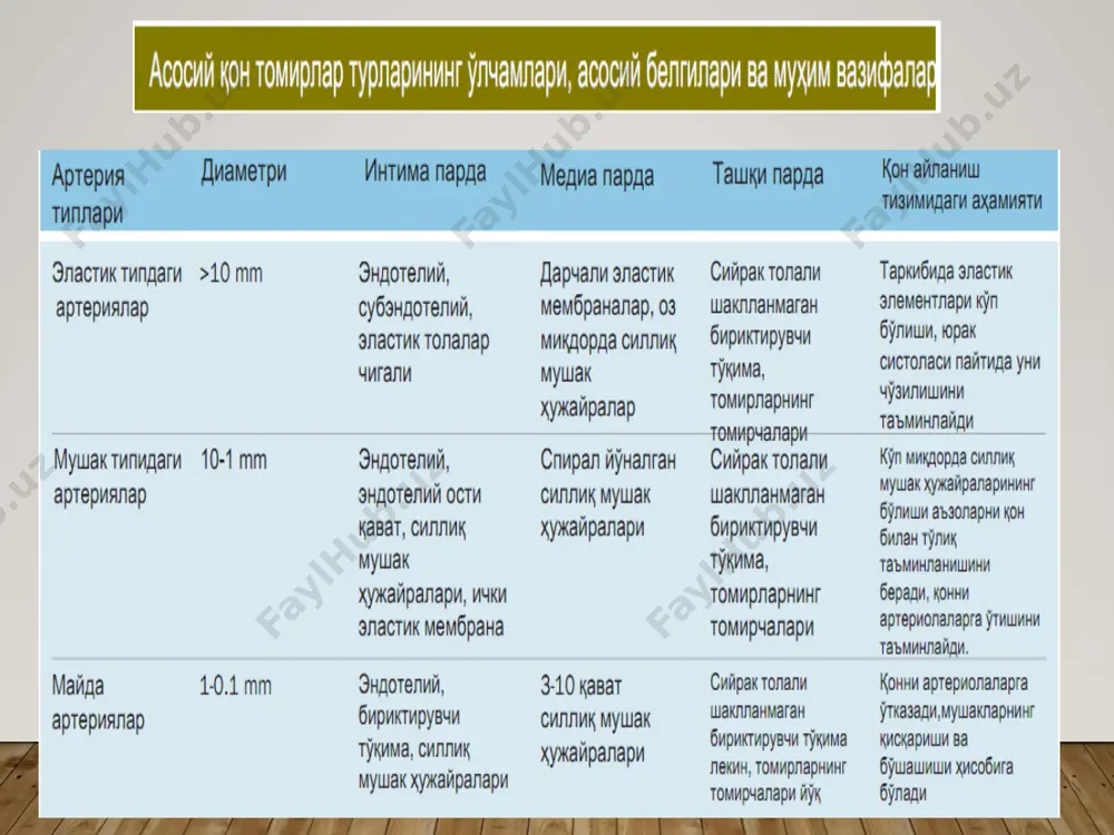 yurak qon-tomirlar sistemasi - Page 5