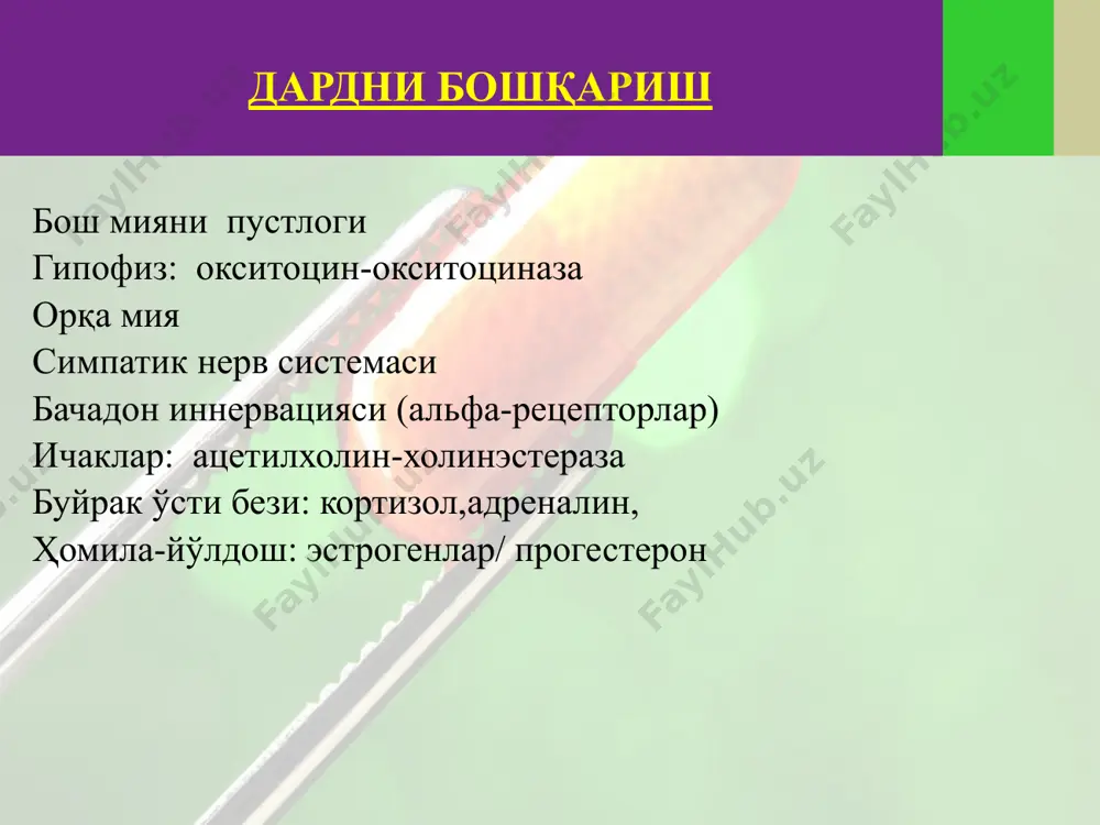 дард тутиш - Page 2