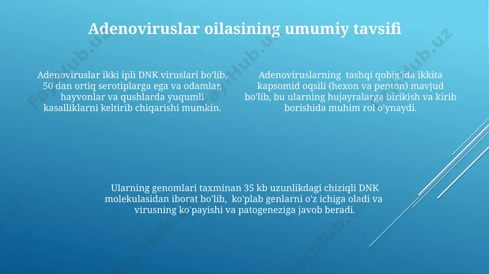 adenoviruslar oilasi - Page 4