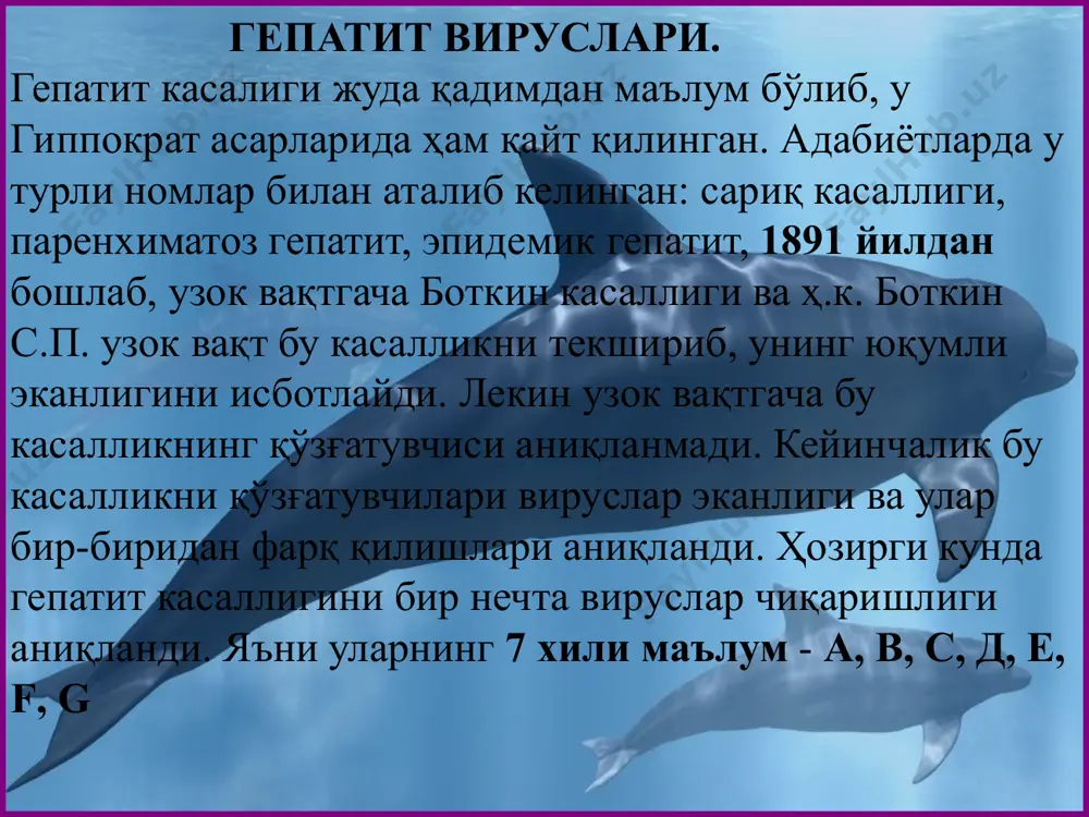 патит а вируси бошқа энтеровирусларга нисбатан ташқи муҳит таъсирита чидамли ҳисобланади. вирус 60°да қиздирилганда 1 соатда, қайнатилганда (100°) 30-40 сикундда ўз активлигини йуқотади. дезинфекцияловчи моддаларда ҳам бир неча минутдан сўнг фаолсизланади. амо паст ҳароратга чидамли: -20° да бир неча йилгача касал чақириш қобилиятини йўқотмайди. бемор одам ва вирус ташиб юрувчиларнинг нажас ва сийдигида узоқ вақт сақланади. ҳайвонлар учун патогенлиги. табиий шароитда гепатит а билан фақат одамлар касалланади. аммо африка ўрмонларида яшовчи мармазет ва шимпанзе маймунлари ушбу вирусга ниҳоятда мойил. лаборатория хайвонлари касалланмайди. касалликнинг одамлардаги патогенези. касалликнинг манбаи асосан касал одам ва соғлом вирус ташиб юрувчилар, айниқса гепатит а нинг сариқсиз формаси билан оғриган беморлар атрофдагилар учун жуда хавфли хисобланади. касаллик мавсумий характерга эга бўлиб, асосан куз ва қиш ойларида кўпроқ тарқалади. кўпинча 5-15 ёшдаги болалар кўпроқ касалланади. касаллик фекал - орал йўл билан (алиментар йўл), зарарланган овқат маҳсулотлари, сут, сув ва ҳ.к. орқали ошқозон - ичак трактига тушади, яъни юқади. …