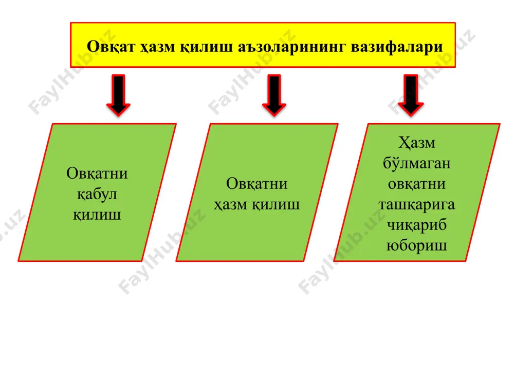 a'ni har kuni bir xil vaqtda ovqatlanish zarur. ovqatlanayotganda televizor ko'rish, suhbatlashish, shoshilish tavsiya etilmaydi. yotib, yonboshlab ovqat eyish yaramaydi. ovqat sifatli mahsulotlardan tayyorlanishi, etarli kaloriyaga va etarli hajmda bo'lishi, to'q tutishi kerak. ovqatlanish gigienasi bo'yicha tavsiyalar ovqat turli-tuman, tarkibida hayvon mahsulotlari bilan bir qatorda ma'lum nisbatda o'simlik mahsulotlari ham bo'lishi kerak. bolalar ovqatlanadigan xona ozoda va shinam, idish-tovoqlar chiroyli, bir xil rang va shaklda, ovqatlar turli-tuman, mazali, sharoit qulay va tinch bo'lishi kerak. bolaning kundalik taomida turli sabzavotlar va mevalar ko'proq bo'lishi lozim. chunki ular vitaminlar va mineral moddalar manbai bo'lib, bularsiz bolaning o'sishi va rivojlanishi mumkin emas. dasturxon atrofiga o'tirishdan oldin qo'lni yaxshilab yuvish kerak. ovqatni asta-sekin va yaxshilab chaynash zarur, uni yaxshi chaynamaslik shira ajralishi va ichaklar harakatini buzadi, bunda ovqat yomon hazm bo'ladi va singadi, natijada hazm sistemasida buzilish yuz beradi. nimjon bolalarni oz-ozdan, tez-tez ovqatlantirish lozim. o'quv muassasalarida bolalarni ichkilikbozlikka qarshi salbiy munosabatda bo'ladigan qilib …