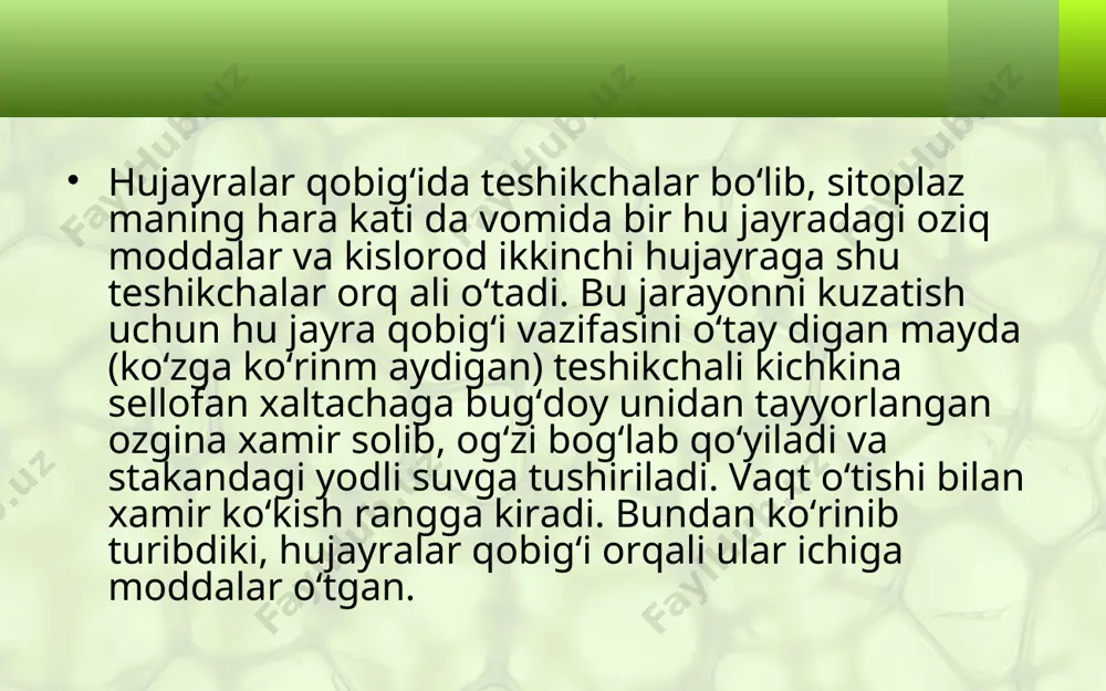 hujayralarning hayotiy faoliyati. 5 - sinf - Page 5