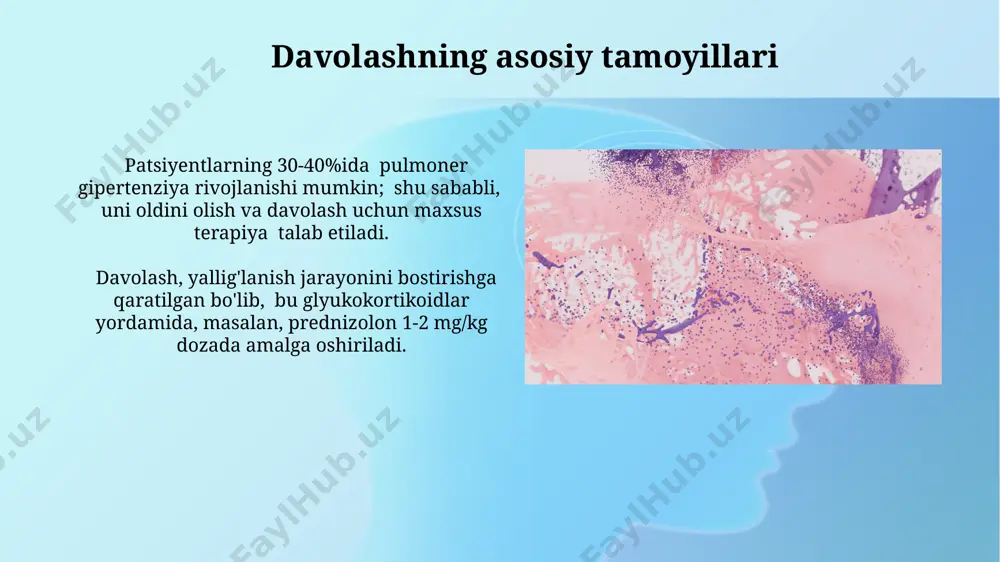 izil yuguruk (skq) da tip ii kollageniga qarshi antitellar hosil bo'lishi, bir qator yallig'lanish jarayonlarini 5 dan ortiq organ tizimlarida qo'zg'atadi. behçet kasalligi: patogenez va diagnostika behçet kasalligi patogenezi murakkab bo'lib, genetik moyillik (hla-b51 alleli bilan bog'liq 50% gacha), immunitet tizimining disfunksiyasi va infektsion omillar (masalan, streptokokklar) o'zaro ta'sirini o'z ichiga oladi. pathergi testining ijobiy natijasi (teriga kichik bir ignani sanchib, yallig'lanish reaksiyasini baholash) behçet kasaligining diagnostik ko'rsatkichlaridan biri hisoblanadi, ammo bu testning sezgirligi va o'ziga xosligi cheklangan. autoimmun jarayonlarning roli sitokinlarning (masalan, tnf-α, il-1, il-6) haddan tashqari ko‘payishi yallig‘lanish reaksiyalarining kuchayishiga va kolagenozesning klinik namoyon bo‘lishida muhim ahamiyatga ega bo‘lgan to‘qima shikastlanishiga olib keladi. b-hujayralarining faollashuvi va otoantitanalarning hosil bo‘lishi, kolagen va boshqa biriktiruvchi to‘qima oqsillariga qarshi 90% dan ortiq hollarda kuzatiladi, bu esa to‘qimalarning shikastlanishiga olib keladi. lyupus nefriti: patogenez va diagnostika lupus nefritining patogenezi immun komplekslarning buyrak glomerullarida to'planishi bilan bog'liq bo'lib, bu esa 1-5-tipga qadar turli …