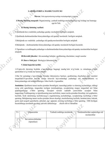 laboratoriya mashg'uloti №3 — DOCX