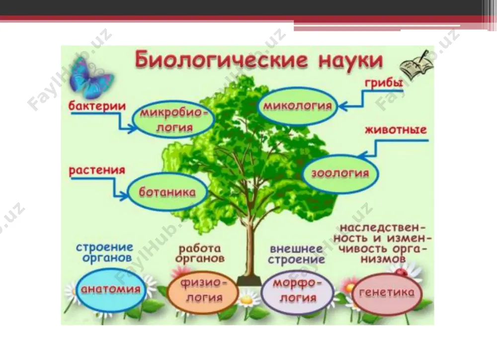 biologiya – hayot haqidagi fan - Page 4