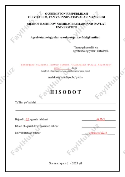 malakaviy amaliyot bo‘yicha hisobot shabloni — DOCX