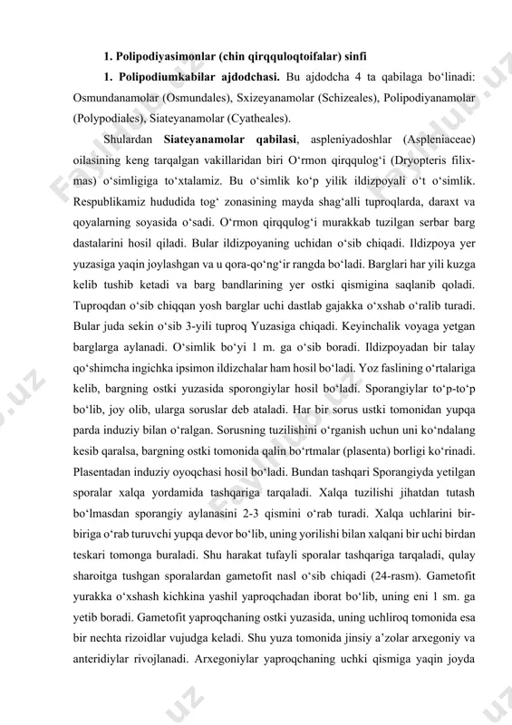 di. ildizpoya yer yuzasiga yaqin joylashgan va u qora-qo‘ng‘ir rangda bo‘ladi. barglari har yili kuzga kelib tushib ketadi va barg bandlarining yer ostki qismigina saqlanib qoladi. tuproqdan o‘sib chiqqan yosh barglar uchi dastlab gajakka o‘xshab o‘ralib turadi. bular juda sekin o‘sib 3-yili tuproq yuzasiga chiqadi. keyinchalik voyaga yetgan barglarga aylanadi. o‘simlik bo‘yi 1 m. ga o‘sib boradi. ildizpoyadan bir talay qo‘shimcha ingichka ipsimon ildizchalar ham hosil bo‘ladi. yoz faslining o‘rtalariga kelib, bargning ostki yuzasida sporongiylar hosil bo‘ladi. sporangiylar to‘p-to‘p bo‘lib, joy olib, ularga soruslar deb ataladi. har bir sorus ustki tomonidan yupqa parda induziy bilan o‘ralgan. sorusning tuzilishini o‘rganish uchun uni ko‘ndalang kesib qaralsa, bargning ostki tomonida qalin bo‘rtmalar (plasenta) borligi ko‘rinadi. plasentadan induziy oyoqchasi hosil bo‘ladi. bundan tashqari sporangiyda yetilgan sporalar xalqa yordamida tashqariga tarqaladi. xalqa tuzilishi jihatdan tutash bo‘lmasdan sporangiy aylanasini 2-3 qismini o‘rab turadi. xalqa uchlarini bir-biriga o‘rab turuvchi yupqa devor bo‘lib, uning yorilishi bilan xalqani bir …