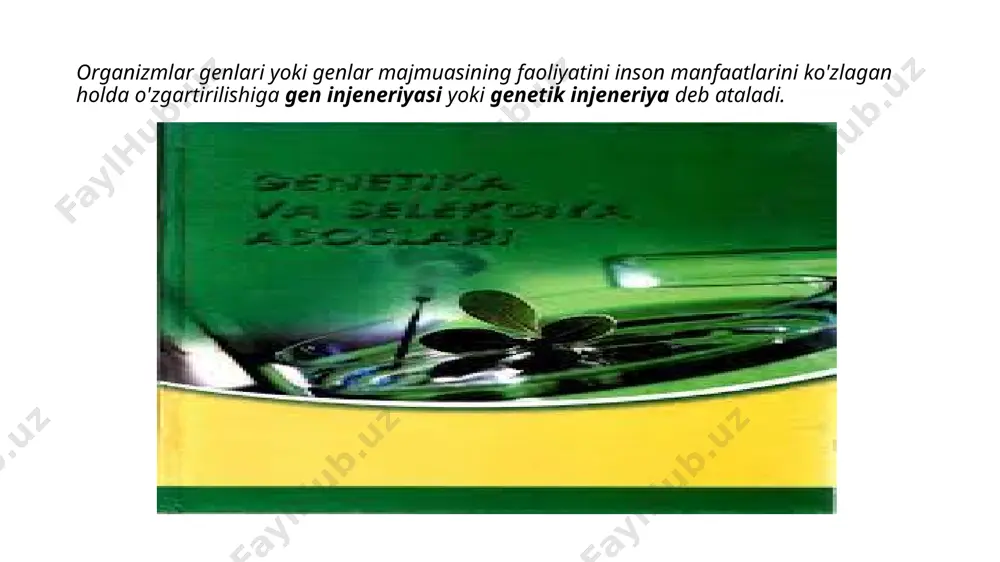 . berji aniqlagichi bakteriyalarning to'rtta asosiy toifasini ajratib turadi – gracillicutes [latdan. gracilis, oqlangan, ingichka, + cutis, teri] - hujayra devori yupqa, gramm-manfiy bo'yalgan turlar; firmicutes [lot.dan. flrmus, kuchli, + cutis, teri] - hujayra devori qalin, gramm-musbat bo'yalgan bakteriyalar; tenericutes [latdan. tender, tender, + cutis, skin] – hujayra devoridan mahrum bakteriyalar (mikoplazmalar va mollicutes sinfining boshqa vakillari) mendosicutes [lot. mendosus, noto'g'ri, + cutis, teri] - arxeobakteriyalar (metan va sulfatni qaytaruvchi, galofil, termofil va arxebakteriyalar, hujayra devoridan mahrum). 1-guruh. spiroxetalar. erkin va parazit vakillari. odam uchun pathogen: treponema, borrelia, leptospira 2-guruh. harakatchan aerob mikroaerofil buralgan gram(-) bakteriyalar. 3-guruh. harakatsiz gram(-) bakteriyalar 4-guruh. aerob va mikroaerofil gram(-) tayoqcha va kokklar 5-guruh. fakultativ anaerob gram(-) tayoqchalar 6-guruh. to`g`ri, bukilgan, spiralsimon gram(-) bakteriyalar 7-guruh. sulfat yoki oltingugurt qaytaruvchi bakteriyalar 8-guruh. anaerob gram(-) kokklar 9-guruh. rikketsiya va xlamidiya 10- va 11-guruh. fototrof bakteriyalar 12-guruh. aerob xemototrof bakteriyalar 13- va14-guruh. kurtaklanuvchi va futlyarli bakteriyalar 15- va …