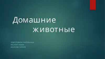 домашние животные — PPTX
