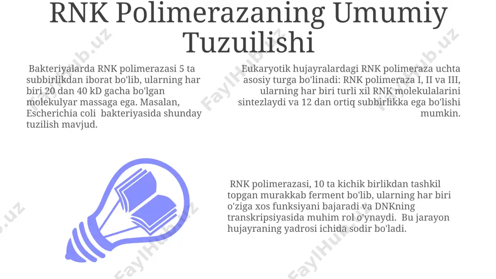 rini ajratish va yangi rnk zanjiriga nukleotidlar qo‘shish jarayonlari belgilab beradi. e'tiboringiz uchun rahmat @taqdimot_robot image1.jpeg image2.jpeg image3.jpeg