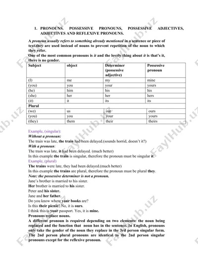 pronouns — DOCX