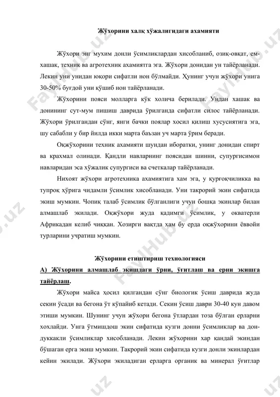 60 кг калий ўғитлари берилади. жўхори қандай мақсадларда фойдаланиш учун экилганлигига қараб азот ва фосфор миқдорини кўпайтириш ёки камайтириш мумкин. агар жўхори дон учун экилган бўлса, фосфор ўғити миқдорини кўпайтириб, азот ўғити миқдорини камайтириш, аксинча жўхори кўк поя учун экилган бўлса азот миқдорини кўпайтириш мумкин. жўхори бегона ўтлардан тоза бўлган ерларни хохлайди. жўхори экиш учун ер кузда 27-30 см чуқурликда чимқирқарли плуг ёки икки ярусли плуг ёрдамида шудгор қилинади. эрта бахорда тупроқда нам сақлаш мақсадида шудгор борана қилинади. экишдан олдин хам борона ва сўнгра мола босилади. б) жўхорини экиш: экиш муддатлари, уруғ ни экишга тайёрлаш, экиш усуллари ва меъёри. жўхори маккажўхорига нисбатан кечроқ яъни тупроқ харорати 13-150 иссиқликка етганда экилади. ўзбекистонни жанубий вилоятларида жўхори март ойларининг охири апрел ойининг бошларида экилади. ҳимолий худудларда май ойининг бошларида экилади. ўзбекистоннинг марказий туманларида апрел ойининг иккинчи ярмида экилади. жўхори экишда уруғлик сифатига эътибор бериш керак. чунки унинг уруғи аксарият униб чиқиш даражаси паст …