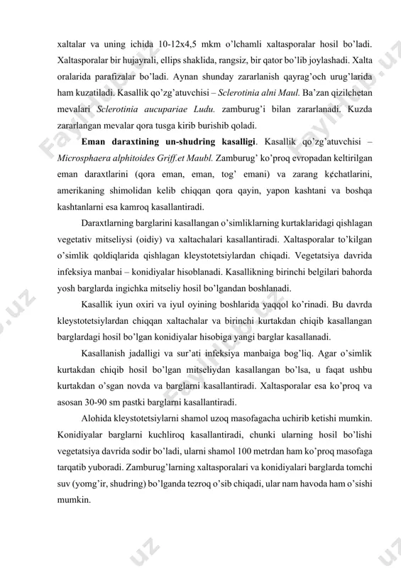 x5-6 mkm o’lchamli xaltalar va uning ichida 10-12x4,5 mkm o’lchamli xaltasporalar hosil bo’ladi. xaltasporalar bir hujayrali, ellips shaklida, rangsiz, bir qator bo’lib joylashadi. xalta oralarida parafizalar bo’ladi. aynan shunday zararlanish qayrag’och urug’larida ham kuzatiladi. kasallik qo’zg’atuvchisi – sclerotinia alni maul. ba’zan qizilchetan mevalari sclerotinia aucupariae ludu. zamburug’i bilan zararlanadi. kuzda zararlangan mevalar qora tusga kirib burishib qoladi. eman daraxtining un-shudring kasalligi. kasallik qo’zg’atuvchisi – microsphaera alphitoides griff.et maubl. zamburug’ ko’proq evropadan keltirilgan eman daraxtlarini (qora eman, eman, tog’ emani) va zarang k¢chatlarini, amerikaning shimolidan kelib chiqqan qora qayin, yapon kashtani va boshqa kashtanlarni esa kamroq kasallantiradi. daraxtlarning barglarini kasallangan o’simliklarning kurtaklaridagi qishlagan vegetativ mitseliysi (oidiy) va xaltachalari kasallantiradi. xaltasporalar to’kilgan o’simlik qoldiqlarida qishlagan kleystotetsiylardan chiqadi. vegetatsiya davrida infeksiya manbai – konidiyalar hisoblanadi. kasallikning birinchi belgilari bahorda yosh barglarda ingichka mitseliy hosil bo’lgandan boshlanadi. kasallik iyun oxiri va iyul oyining boshlarida yaqqol ko’rinadi. bu davrda kleystotetsiylardan chiqqan xaltachalar va birinchi kurtakdan …