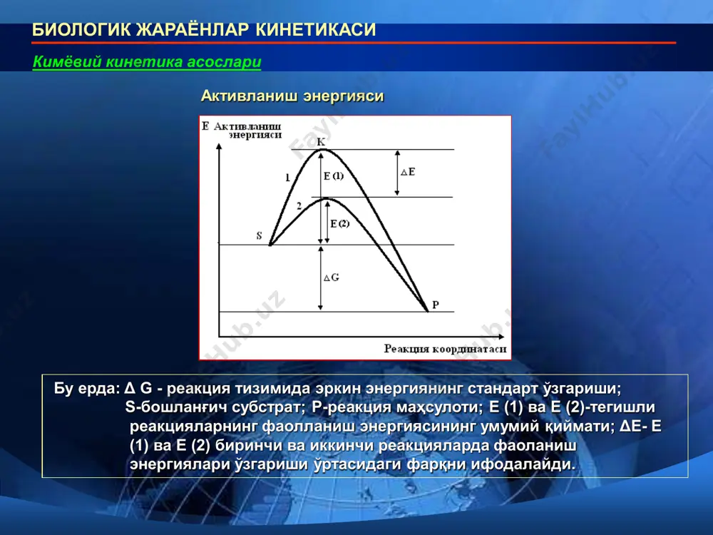 ар кинетикаси динамик тизимларни тасвирловчи математик моделлар, уларнинг геометрик ечимлари икки дифференциал тенгламалар воситасида тасвирланган “йиртқич-ўлжа” моделида ўзгарувчилар (х,у) системанинг маълум бир ҳолатини тасвирлайди. координата ўқларидан ҳосил бўлган ўзгарувчи катталиклар (нуқталар) тушириладиган фаза текислигида ҳар қандай м (х,у) нуқта тизимнинг муайян холатини акс эттиради. фаза текислигида м (х,у) нуқталарнинг ўзаро уланган мажмуасидан фазали траектория, ўз навбатида фаза текислигида барча фазали траекториялар мажмуасидан иборат тизимнинг фазали портрети ҳосил бўлади. биологик жараёнлар кинетикаси биологиядаги тебранма жараёнлар белоусов-жаботинский реакциялари: лимон кислотаси, калий бромат (kbro3) ва церий сульфат ce(so4)2 аралашмасида даврий кимёвий оксидланиш реакцияси рўй беради. фотосинтез, гликолиз ва кўпгина биологик жараёнларда тебранма жараёнлар кузатилади. биологик жараёнлар кинетикаси автотебранмали жараёнлар фотосинтез, гликолиз ва кўпгина биологик жараёнларда тебранма жараёнлар кузатилади. тебранмали ўзгаришларга барча ҳолларда ҳам қандайдир ташқи таъсирот эмас, балки тизимнинг ўз ички динамик хоссалари сабаб бўлади, бундай тизимлар автотебранмали тизимлар дейилади. даврий тебранишга фаза текислигида берк эгри чизиқ мос келади.