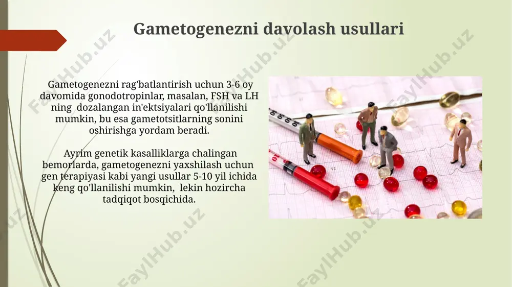 gamotogenezni diagnostikasi - Page 4