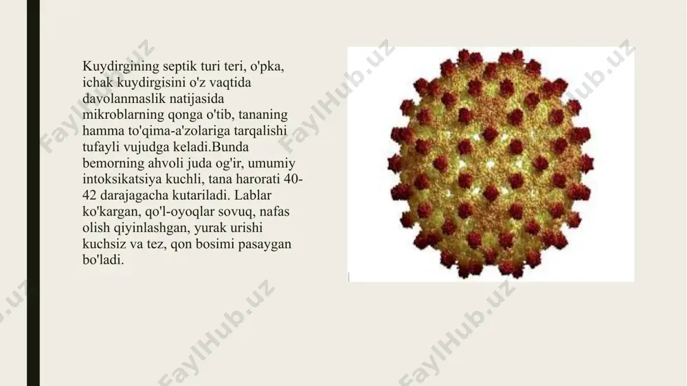 oy miyaga qancha yaqin bo'lsa, kasallanish xavfi shuncha ko'p bo`ladi. tibbiy kuzatuvlarning aniqlashiga ko`ra odamning yuz sohasi tishlanganlarning uchtadan ikkitasi, oyoq sohasi tishlanganlarning to'rtadan bittasi kasallangan. belgilari. kasallik to'rt davrda kechadi: 1. kasallikning yashirin davri - 1 oydan 3 oygacha, ayrim hollarda 10 kungacha qisqarishi yoki 1 yilgacha va undan ko'proq uzayishi mumkin. 2. kasallikning boshlanish davri - 1-3 kun bo`lib, quyidagi belgilar bilan xarakterlanadi: tishlangan joyning yarasi bitib ketishiga qaramasdan, shu joyning terisi qaytadan yallig'lanadi, qichiydi, og'riydi, og'riq nerv tolasi bo'ylab tananing yuqori qismiga tarqaladi. bemorning boshi og'riydi, bo`shashadi, ichi ketadi, og'zi quriydi, tana harorati ko'tariladi. uyqusizlik, qo'rqinchli tushlar ko'rish, sababsiz qo'rqish, kayfiyatini tushishi, g'amginlik kuzatiladi. 3.kasallikning avj olish davri - bemorda qo'zg'olish, notinchlik yuzaga keladi. suv icholmaydi, hatto suvni ko'rganida halqum va hiqildoq muskullari tirishib, nafasi qisib qoladi. bemorning tana harorati ko'tariladi, nafas va yurak- tomir ishi buziladi.bu davr 2-5 kungacha davom etishi mumkin. 4. terminal (paralich) davri …