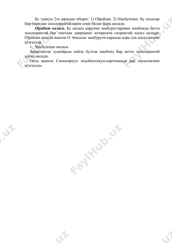 замбуруғлар систематикаси. хитридиомицетлар синфининг систематикаси ва уларнинг вакиллари. - Page 3